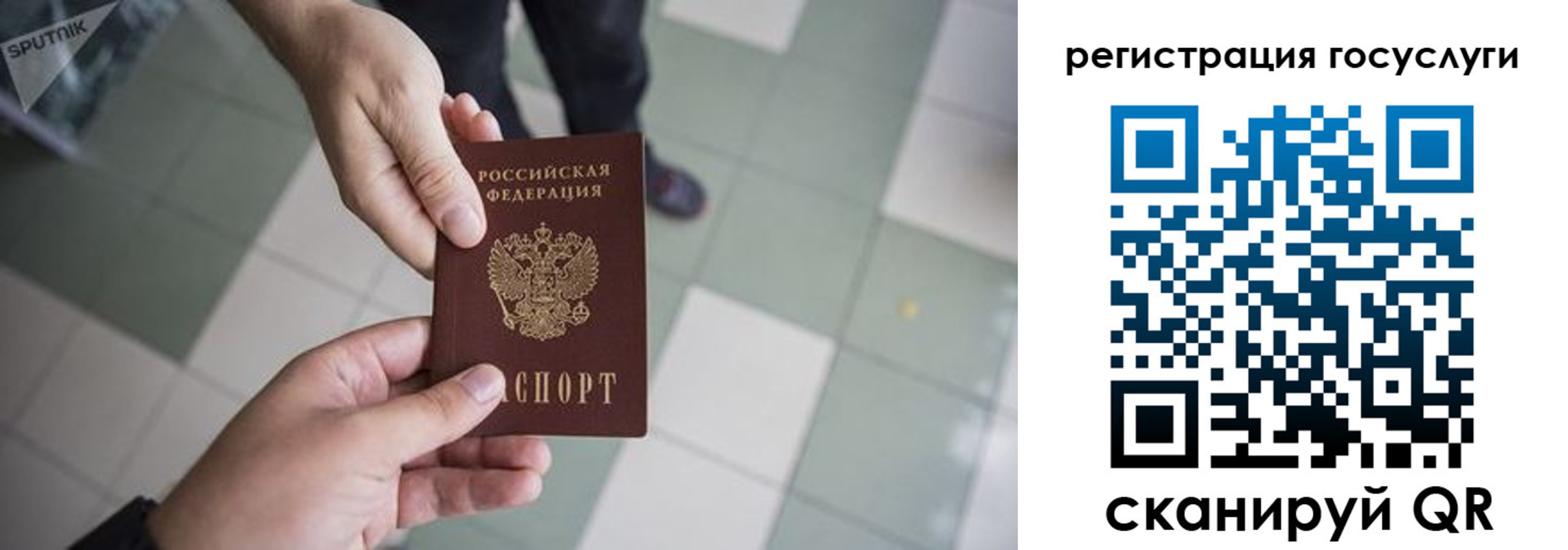 прописка для школы в Кузнецке